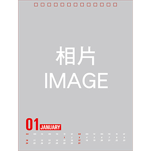 D2型—10